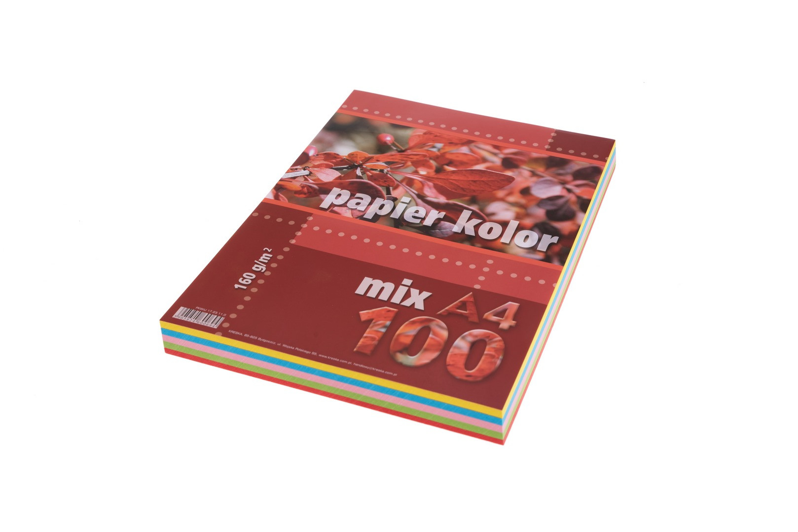 Papier ksero A4 160g 100ark. mix pastelowy